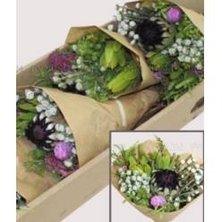 Safari Buquet Niobe Mixto 40cm