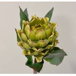Protea Effusa Artificial Verde 61.5cm