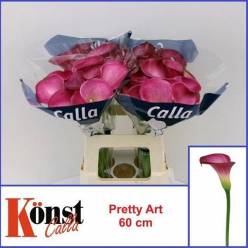 Calla Pretty Art 60cm Fresa
