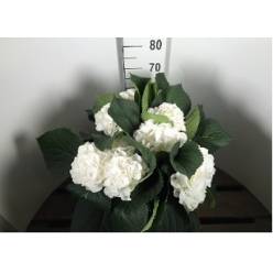 Hortensia Hol. Schneeball 70cm 20/22 Blanca