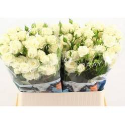 Ramificada White Balloons 80cm