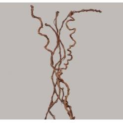 Rama Via Seco Natural 180cm "T5"