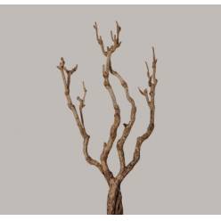 Rama Siringa 100cm "T2"