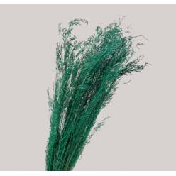 Munni Grass Nature Verde 60cm 100g