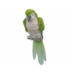 Loro Celsy Verde 8x28Hcm