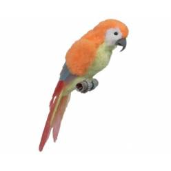 Loro Celsy Naranja 8x28Hcm