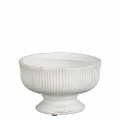 Copa Reina Blanca �17x12Hcm