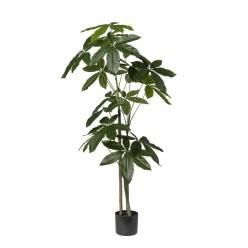 P. Pachira Artificial 130Hcm
