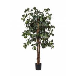 P. Ficus Artificial 120Hcm