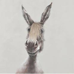 Cuadro Donkey 60x3.5x60Hcm