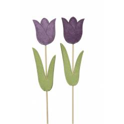 Pick Tulpe Morado 7x41Hcm "T24"