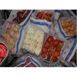 Rosa Ecu. Garden Mix Prime 60cm