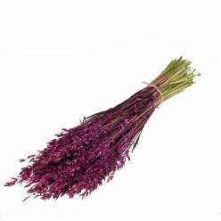 Avena Seca Prune 65cm 90g