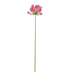 Agapanthus Artificial Fucsia 75cm