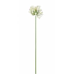 Agapanthus Artificial Blanco 75cm