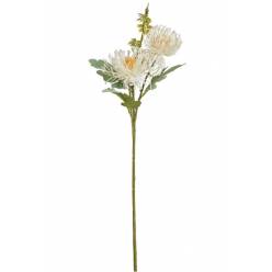 Protea Artificial Crema 60Hcm