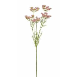 Ammis Visnaga Artificial Rosa 81Hcm