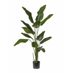 P. Strelitzia Artificial 180cm