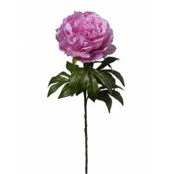 Peonia Artificial Fucsia 60cm