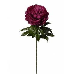 Peonia Artificial Burgundy 60cm