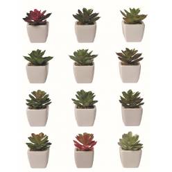 P. Suculenta Artificial Mixta �7x9Hcm "T12"