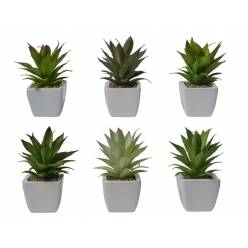 P. Suculenta Artificial Mixta 11x16x17Hcm "T6"