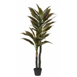 P. Dracena Artificial Verde 150cm
