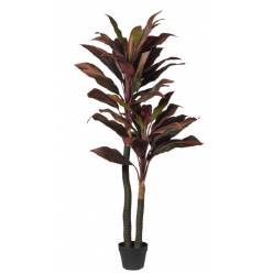 P. Dracena Artificial Roja 150cm