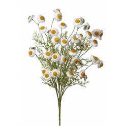 Tanacetum Manzanilla Artificial 50cm