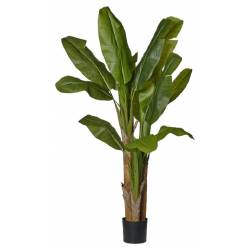 P. Musa Artificial Verde 180cm