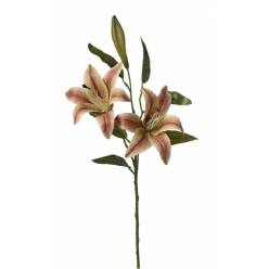 Lilium O. Artificial Bicolor 73cm