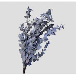 Eucalipto Estabilizado Blue 70cm 140g
