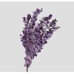 Eucalipto Estabilizado Milka 70cm 140g