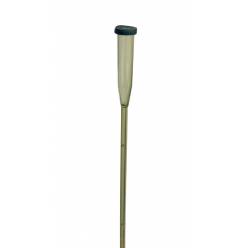 Pincho Cymbidium 50cm (x100uds)