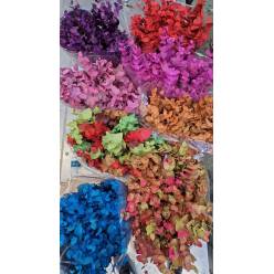 Eucalipto Cinerea Pintado "200gr" Naranja