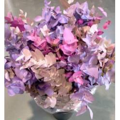 Eucalipto Cinerea Pintado "200gr" Purple Mix