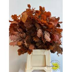 Roble Eichen Estabilizado Orange 70cm 200gr