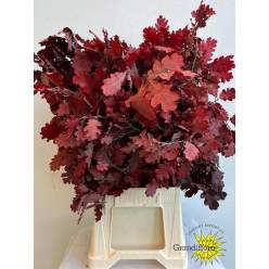 Roble Eichen Estabilizado Red 70cm 200gr