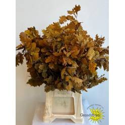 Roble Eichen Estabilizado Yellow 70cm 200gr