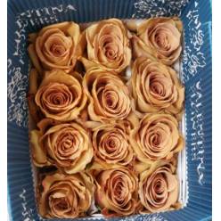 Rosa Ecu. Candy Beat 60cm