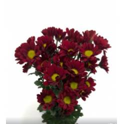 Margarita Col. D. Valentino Rj. (7 Dias - 2)