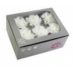 Clavel Preservado Blanco (6 Cabezas) 5-6cm