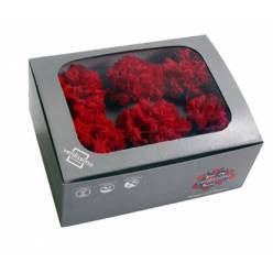 Clavel Preservado Rojo (6 Cabezas) 5-6cm