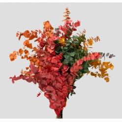 Eucalipto Estabilizado Natural Arleccino 70cm