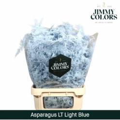 Esparraguera Pintada Light Blue 80cm "T50"