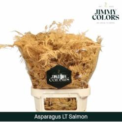 Esparraguera Pintada Salmon 80cm "T50"