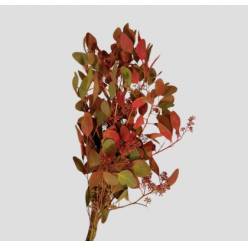 Eucalipto Populus Berry Pintado Deluxe "200gr" (7 Dias - 2)