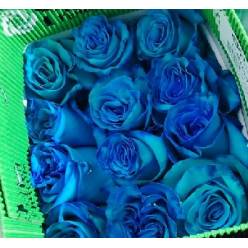 Rosa  Ecu.  Tintada Turquesa 50cm