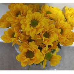 Margarita Col. D. Yellow Stone Am. (7 Dias - 2�)