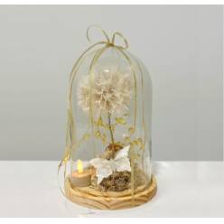 Cupula Dandelion 15x25Hcm "T6"